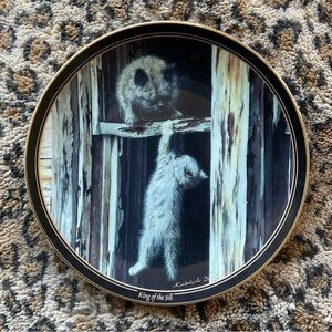 King Of The Sill 😹